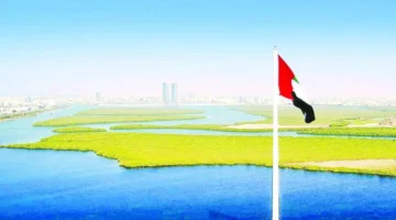 عوائد استثمارية مرتفعة.. الياسمين وجلفار تتصدران المشهد العقاري في رأس الخيمة